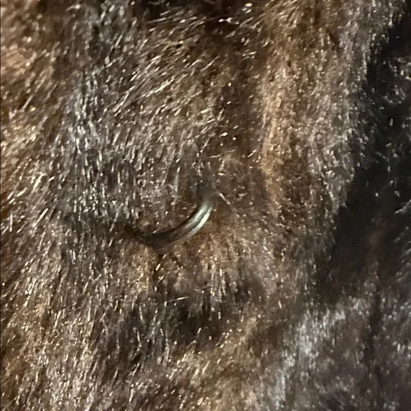 Donna Salyer’s Fabulous Faux Furs Rich Brown Faux Mink Full Length Coat - Picture 4 of 7